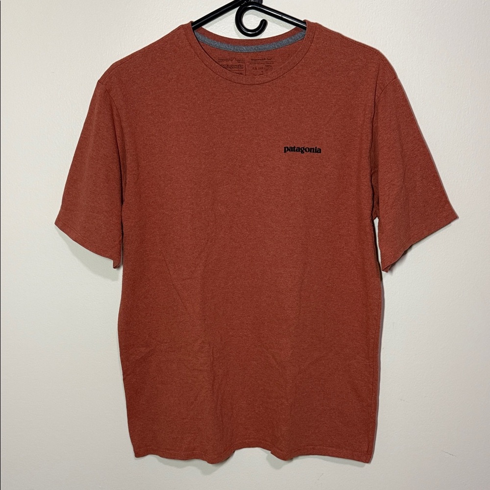 Patagonia Men's Short Sleeve Tee in Rust